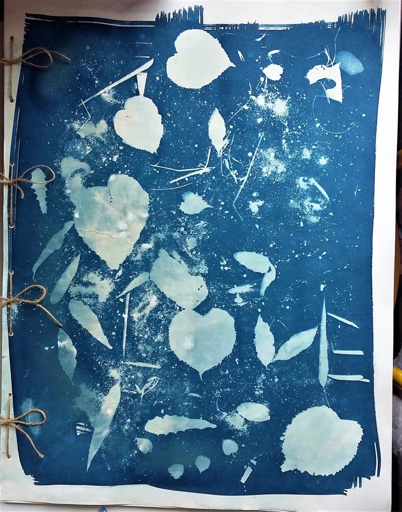 cyanotype page de couv carnet ecole